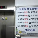 돌고래초장집