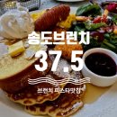 송도브런치 37.5 송도점 미국식 브런치 빼쉐파스타 후기