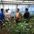 승산농장 이미지