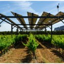 윤성태양광발전소 이미지