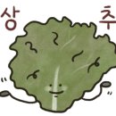 제이가든 이미지