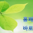 동강그린피스래프팅