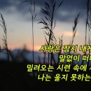 애정의 조건 / 최유나 이미지