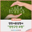 (주)휠로피아 | 양천사용설명서(2) : 양천구민 미래지킴이 "양천구민 보험" - 양천구민안전보험, 양천구민자전거보험...