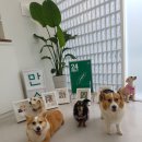 언더바리셉션