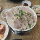 티앤스파펜션 이미지