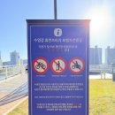 센텀 가볼만한곳 | 수영강 휴먼브릿지, 유모차 휠체어 반려견 산책하기 좋아요
