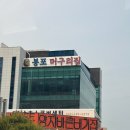 머구리 | [속초 봉포머구리집 솔직후기] 해산물, 물회 맛집 내돈내산