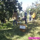 우미농장 이미지