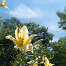 중앙메디칼보청기 이미지