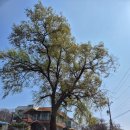 오성산단로 이미지