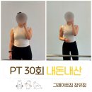 김해 장유피티 추천, 그레이트짐 PT 30회 내돈내산 리얼 후기