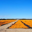 주홍목장 이미지