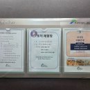 폴에이리조트 제주 | &lt;서귀포 월드컵 리조트&gt; 가성비, 가심비는 물론 뷰까지 좋은 숙소.