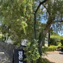 노루 | 제주도 칼국수 맛집 검은노루 다녀온 후기 #내돈내산