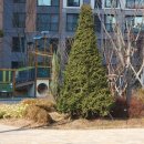 센트럴자이하랑어린이집 이미지