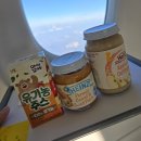 2155 | 대한항공 인천 구마모토 KE2155 이코노미 기내식 유아식 베시넷 후기