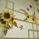 사랑채민박 이미지