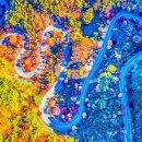 “아직은 초록, 일주일 후면 붉어진다”… 곧 가야 하는 드라이브 단풍명소 이미지