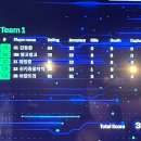 링고위너