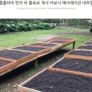 디코드커피