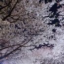 송파나루(놀이마당) 화장실 네이버블로그