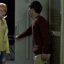 꿈꾸는 나비 이미지