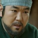 뿌리깊은나무 이미지