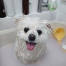그 남자의 grooming # 공간 이미지