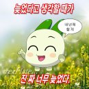 W15. 더링크호텔 혼주한복ㅣ나라한복 계약후기 (가격, 피팅, 프로모션)