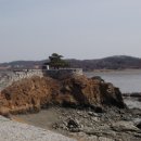 강화인삼센타 - 13849 | 강화인삼센타