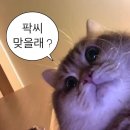 이너피스 이미지