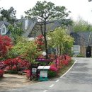 청정한우 이미지