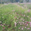 한마음체육공원화장실 이미지