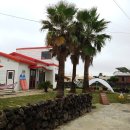 호텔홀라인 평대 이미지