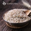 현미농장 이미지