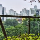 청솔초교 뒤 이미지