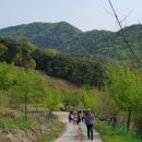 양송농장 네이버블로그
