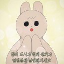 2848 | 발뮤다 토스터기 솔직후기｜사이즈·청소·트레이까지 한 번에 정리