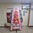 경상대 짐승