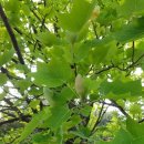 창평한마음요양병원 이미지