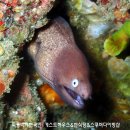 섬 게스트하우스 이미지