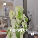 세림치과의원 이미지