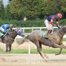 경주슈퍼 이미지