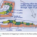 수지경희한의원 이미지