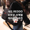 사계절 | 레도 사계절 캐리올백 후기, 보부상 가방 추천