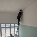 반월 초등학교 이미지