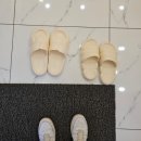 부평 왁싱 브라질리언 찐후기 메리빈
