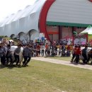 제17회 장수 한우랑 사과랑 축제 서울일보