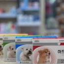 행복이가득한약국 이미지